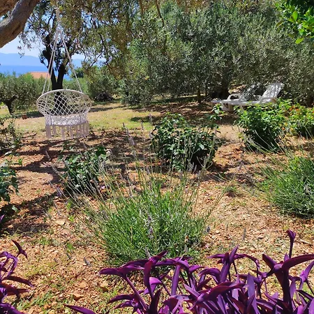 Appartement Lantana Robinson *